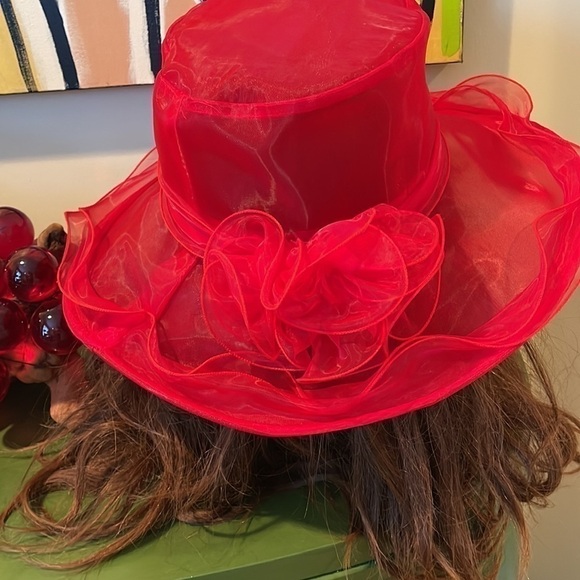 Love this red hat main image 6